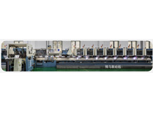 Horse riding linkage line