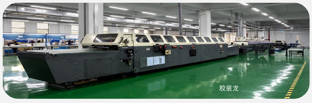 胶装龙1.jpg